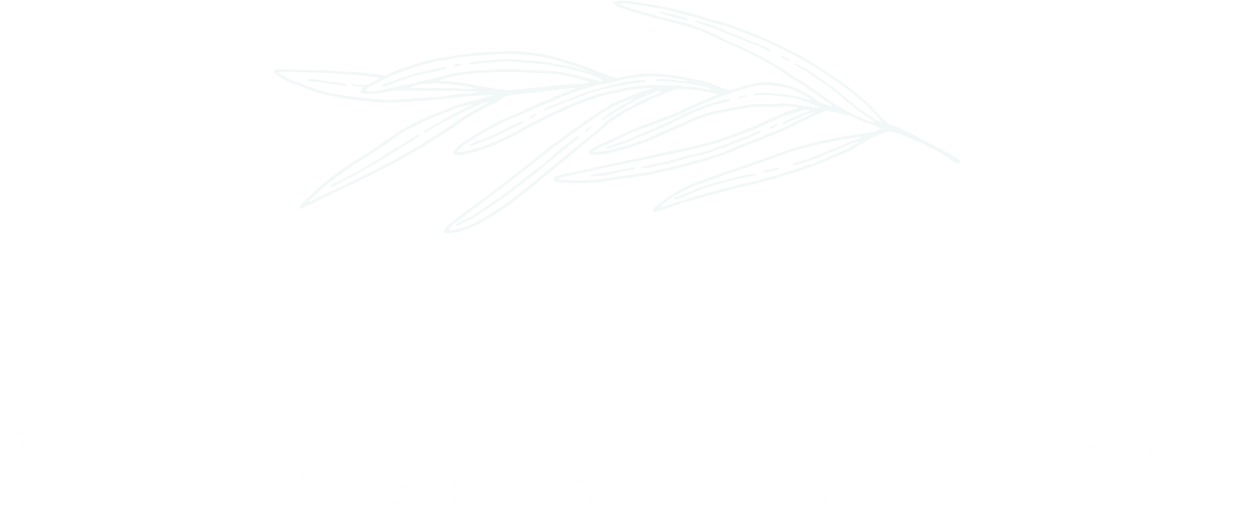 いやしのウィッグ evergreen